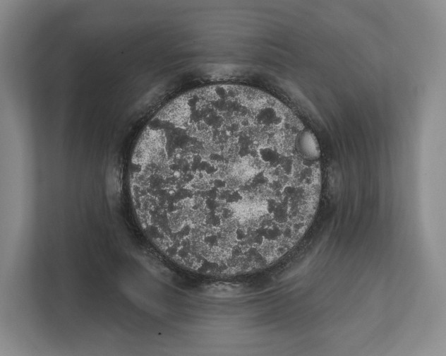 X0000111830691200908201151