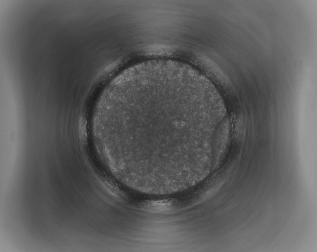 X0000111830692200908201151