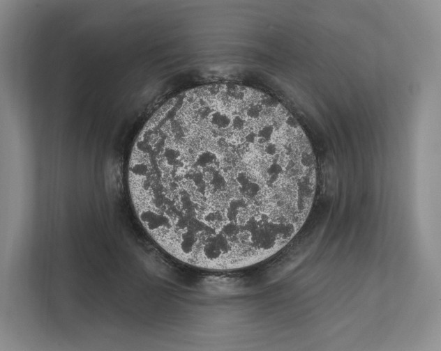 X0000111830699200908201151