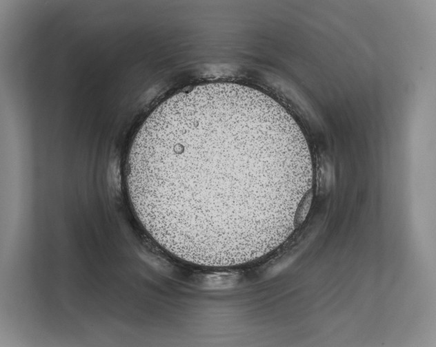 X0000111830700200908201151