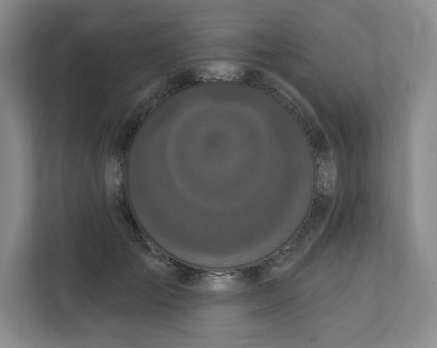 X0000111830701200908201151