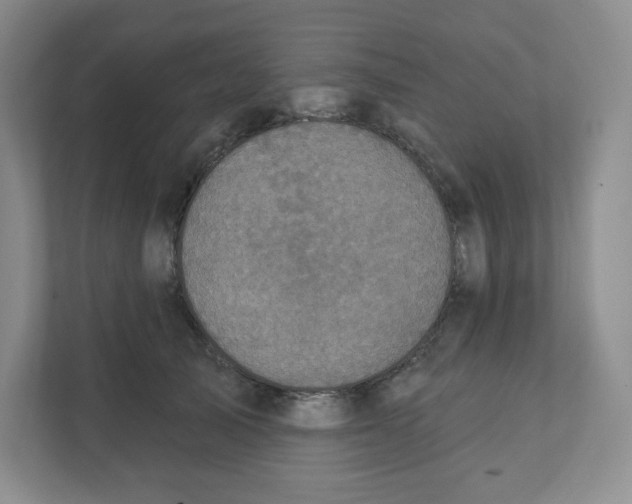 X0000111830705200908201151