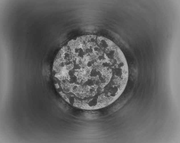 X0000111830707200908201151