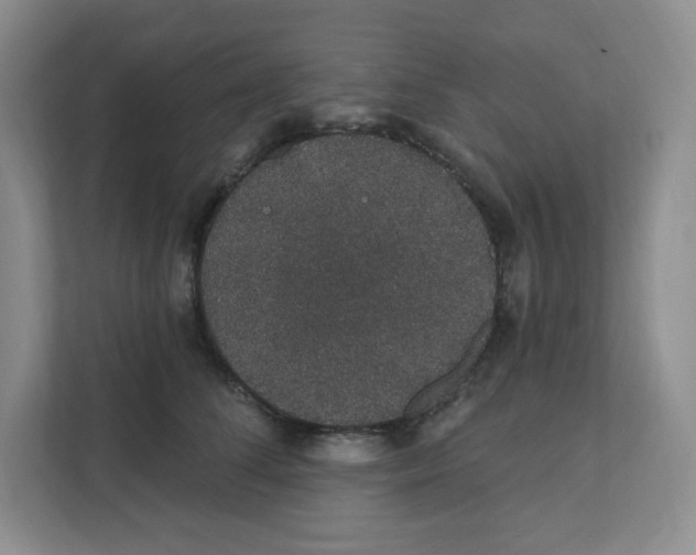 X0000111830708200908201151