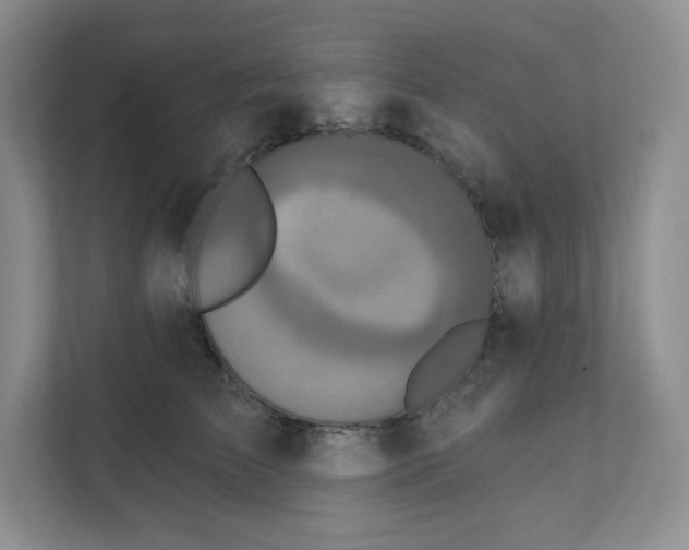 X0000111830709200908201151