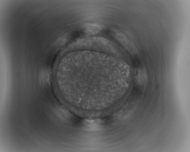 X0000111830712200908201151