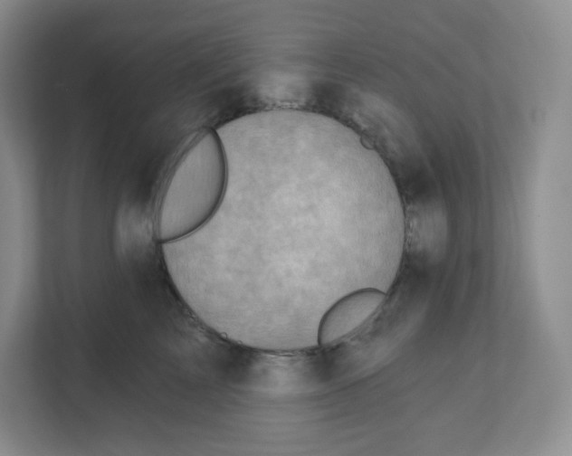 X0000111830713200908201151