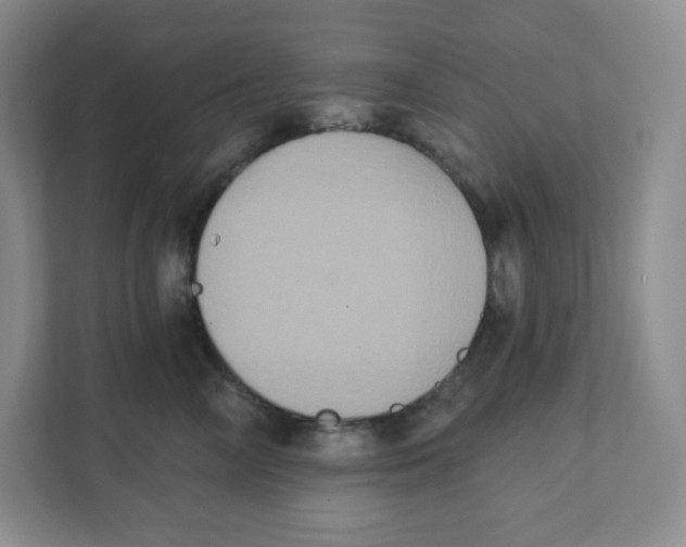 X0000111830714200908201151