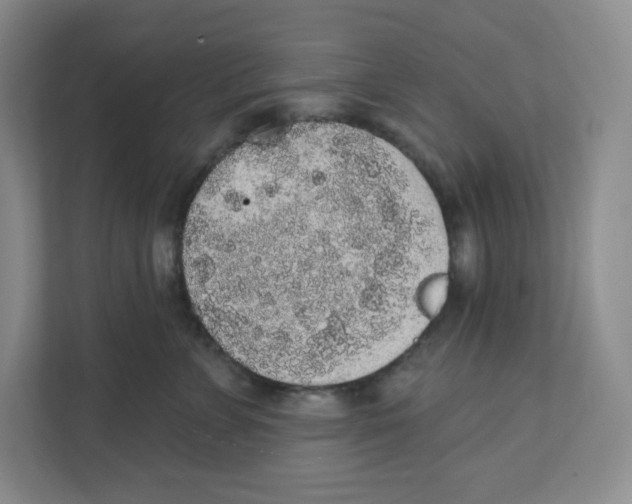 X0000111830715200908201151