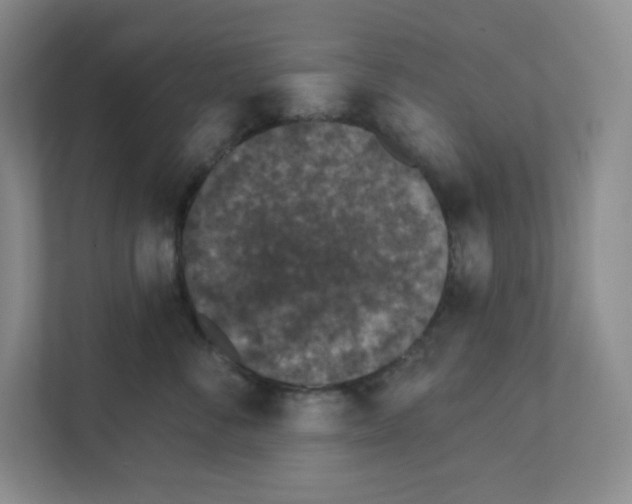 X0000111830716200908201151