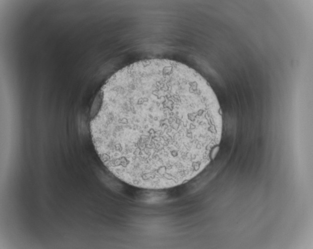 X0000111830719200908201151