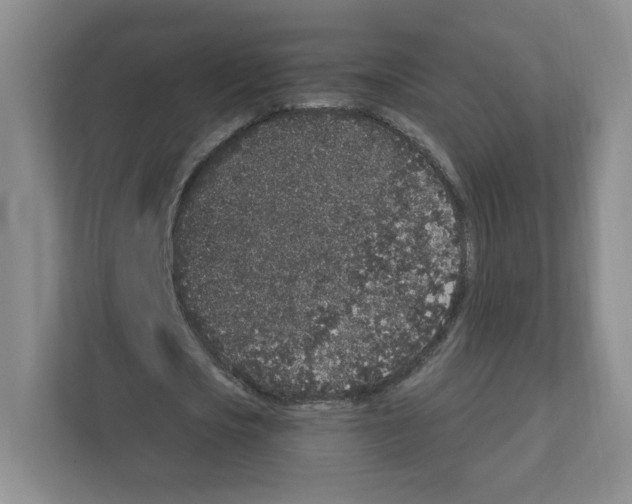 X0000111830721200908201150