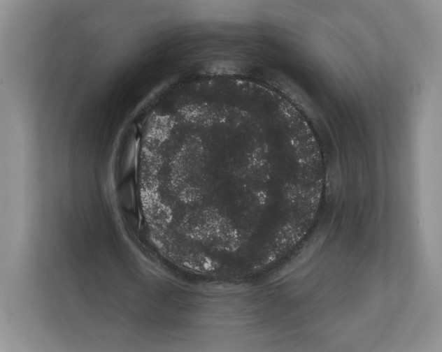 X0000111830722200908201150