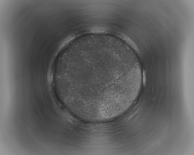 X0000111830723200908201150