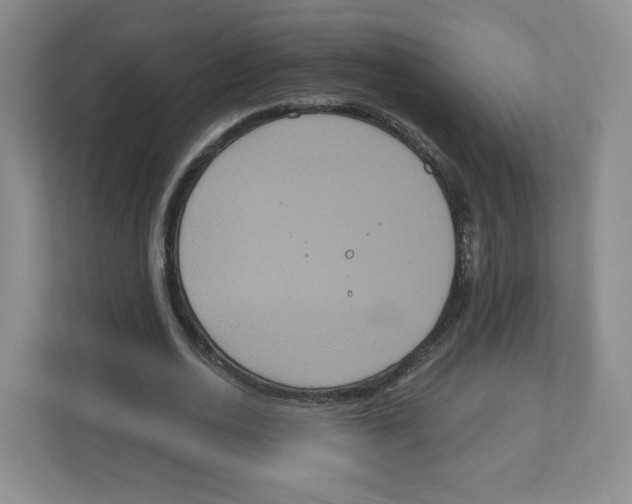 X0000111830726200908201150