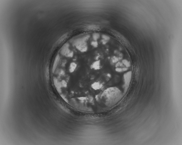 X0000111830729200908201150