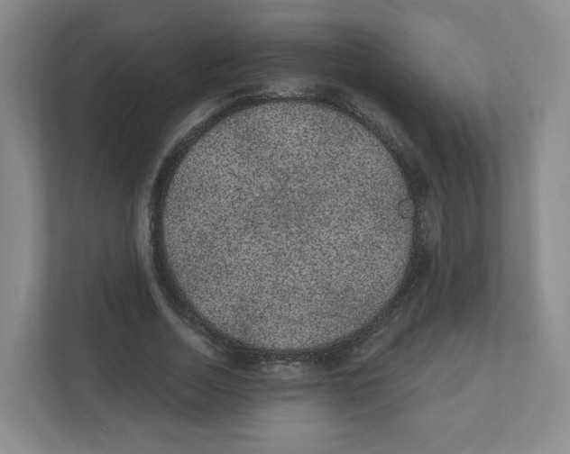 X0000111830730200908201150