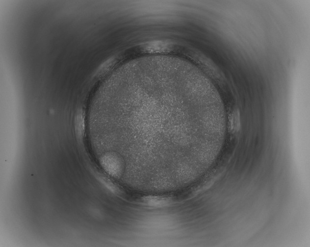 X0000111830733200908201150