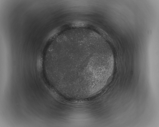 X0000111830735200908201150