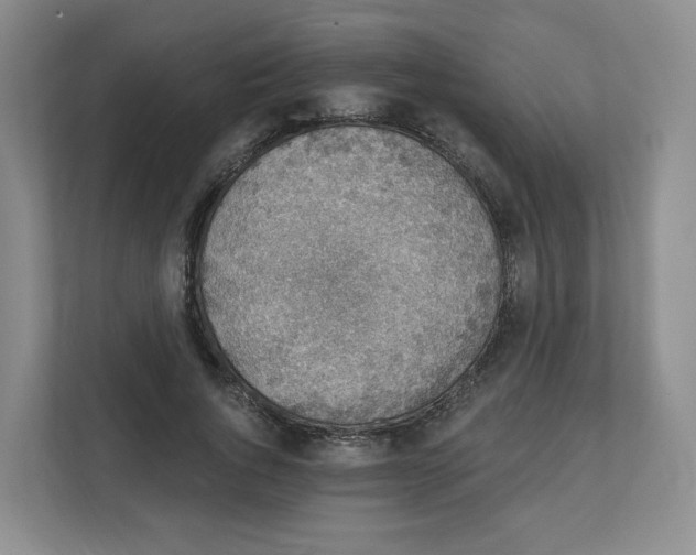 X0000111830736200908201150