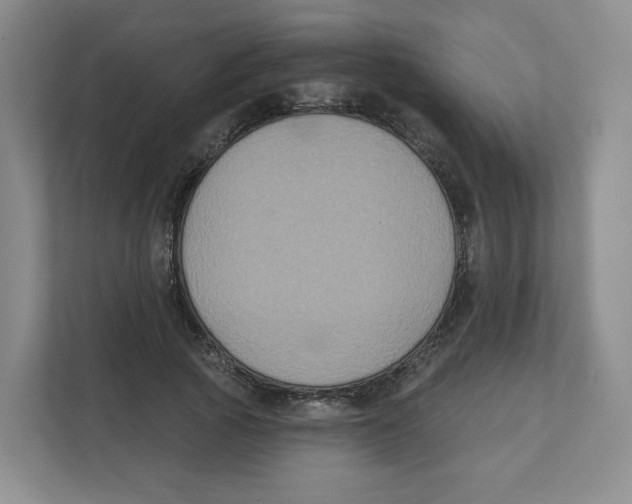 X0000111830737200908201150