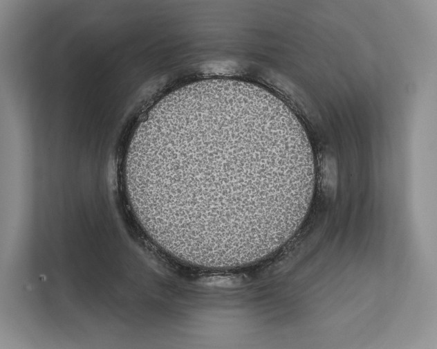 X0000111830738200908201150