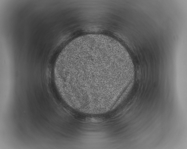 X0000111830739200908201150