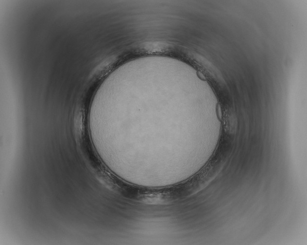 X0000111830740200908201150