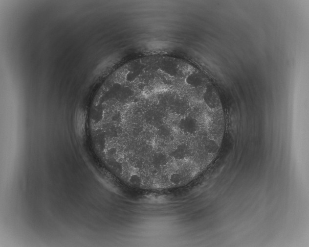 X0000111830742200908201150