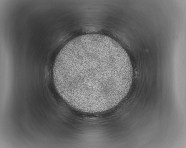 X0000111830743200908201150