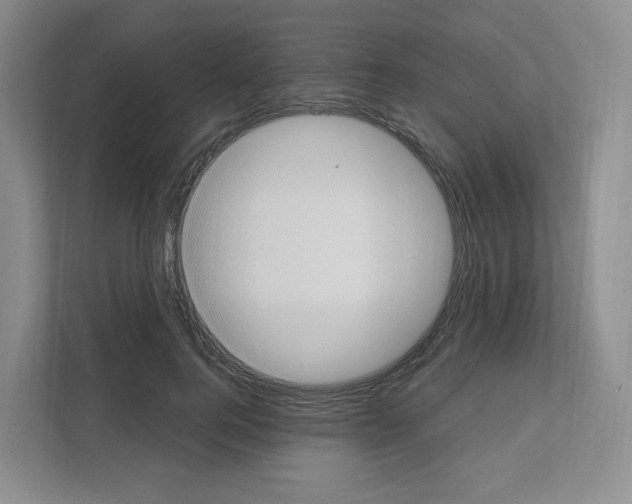 X0000111830744200908201150