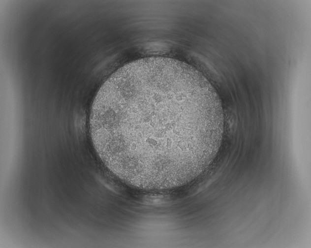 X0000111830745200908201150