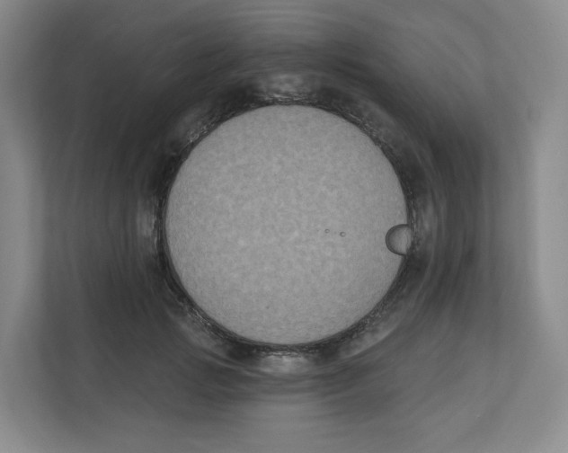 X0000111830749200908201150