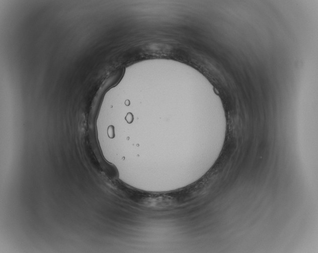 X0000111830752200908201150