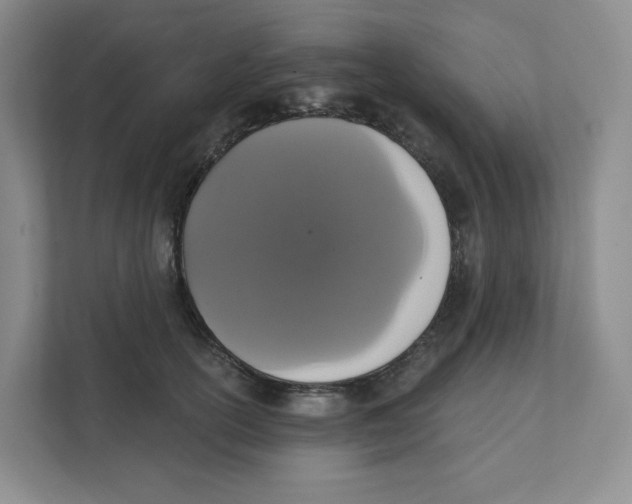 X0000111830754200908201150