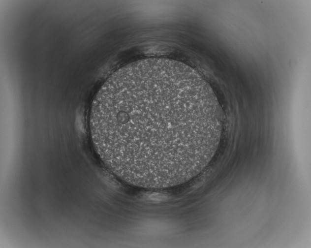 X0000111830755200908201150