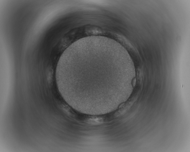 X0000111830760200908201151