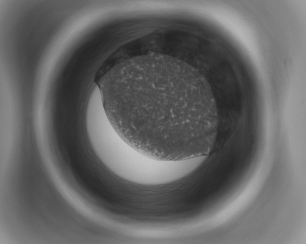 X0000111830766200908201151