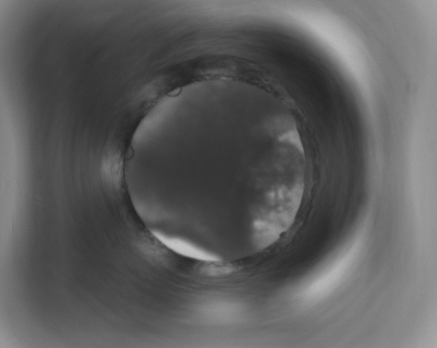 X0000111830767200908201151