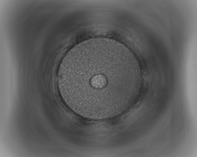 X0000111830769200908201150