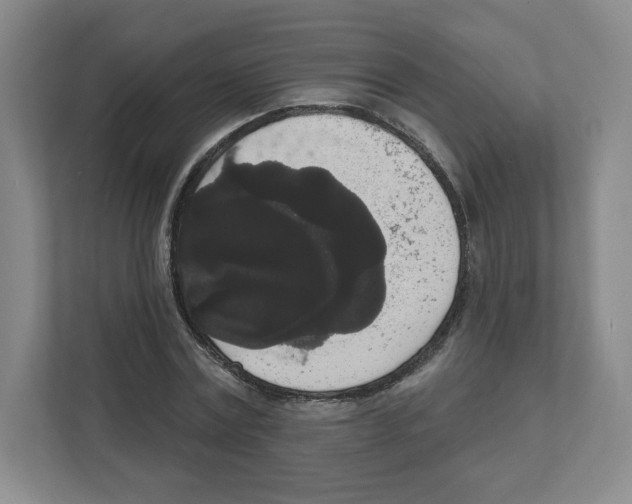 X0000111830779200908201150