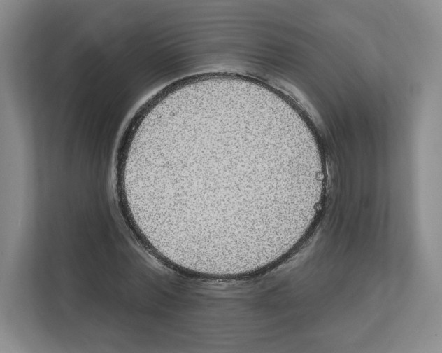 X0000111830780200908201150