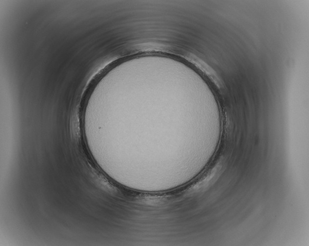 X0000111830782200908201150