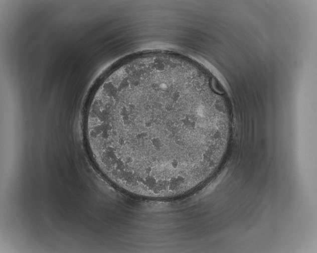 X0000111830783200908201150