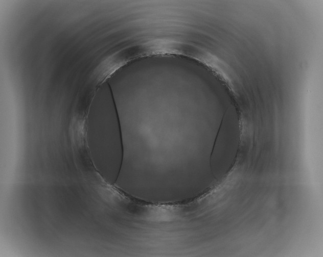 X0000111830785200908201150