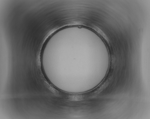 X0000111830789200908201150