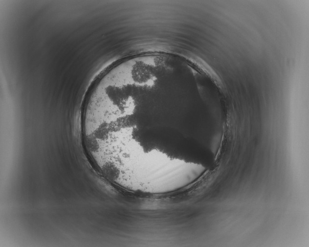 X0000111830790200908201150