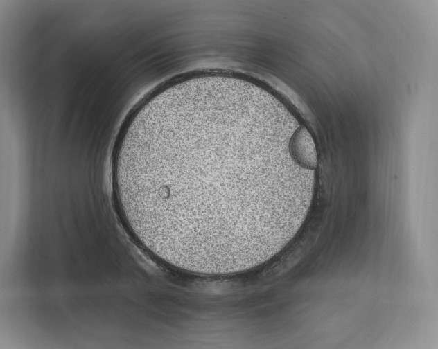 X0000111830791200908201150