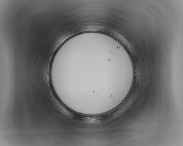 X0000111830794200908201150