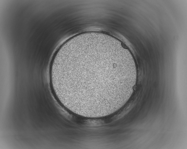 X0000111830795200908201150